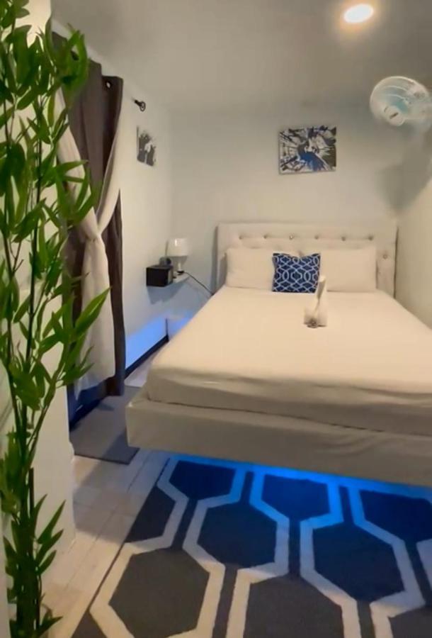Bed and Breakfast Blue Royalty Portmore Exteriér fotografie