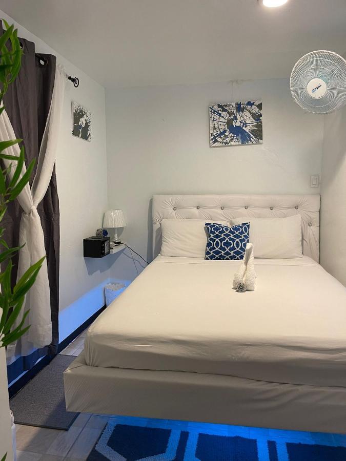 Bed and Breakfast Blue Royalty Portmore Exteriér fotografie